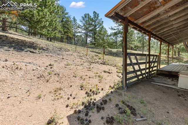 MLS Image for 272  Spring Valley  ,Florissant, Colorado