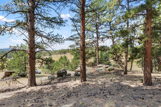 MLS Image for 272  Spring Valley  ,Florissant, Colorado