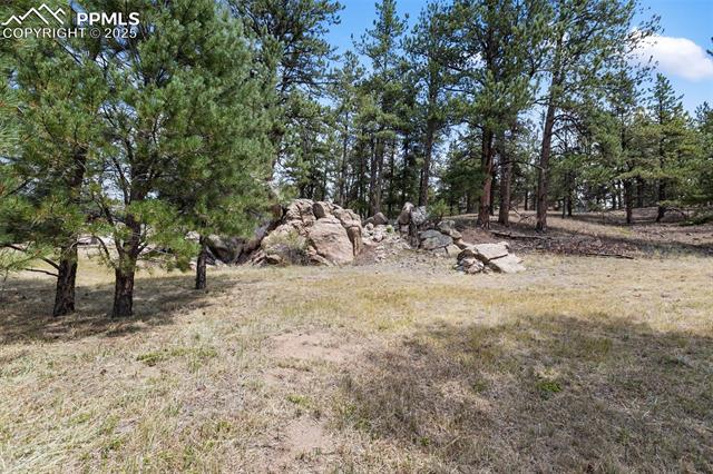 MLS Image for 272  Spring Valley  ,Florissant, Colorado