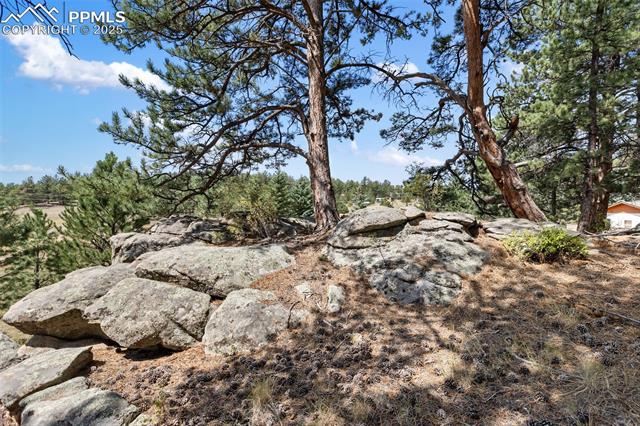 MLS Image for 272  Spring Valley  ,Florissant, Colorado