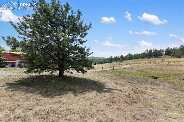 MLS Image for 272  Spring Valley  ,Florissant, Colorado