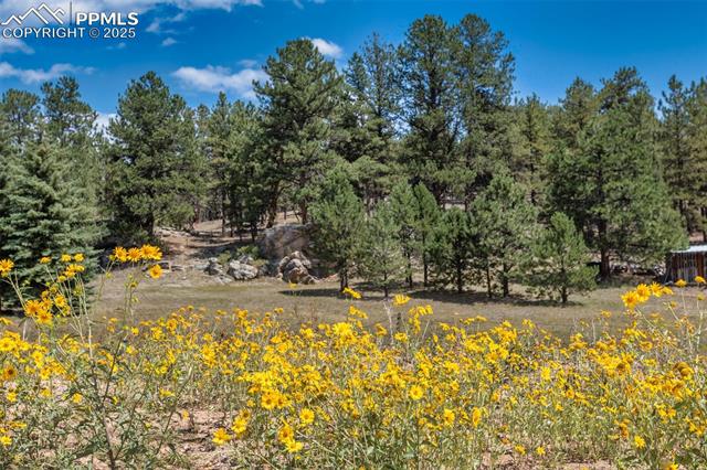 MLS Image for 272  Spring Valley  ,Florissant, Colorado