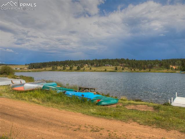 MLS Image for 272  Spring Valley  ,Florissant, Colorado