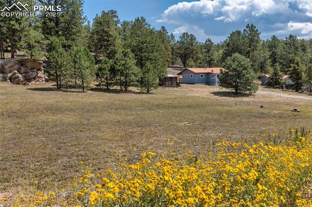 MLS Image for 272  Spring Valley  ,Florissant, Colorado