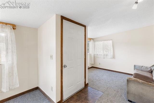 MLS Image for 272  Spring Valley  ,Florissant, Colorado