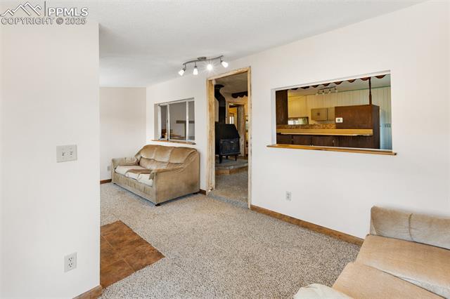 MLS Image for 272  Spring Valley  ,Florissant, Colorado