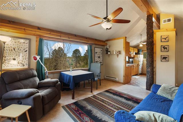 MLS Image for 79  Beaver Creek  ,Florissant, Colorado