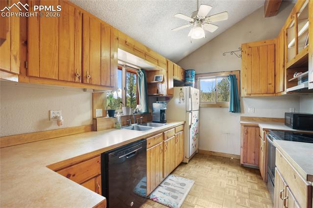 MLS Image for 79  Beaver Creek  ,Florissant, Colorado