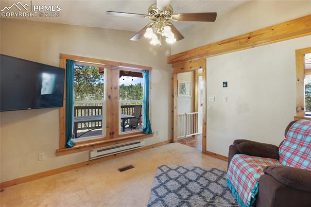 MLS Image for 79  Beaver Creek  ,Florissant, Colorado