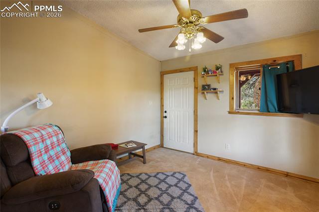 MLS Image for 79  Beaver Creek  ,Florissant, Colorado