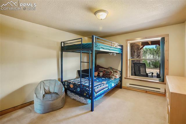 MLS Image for 79  Beaver Creek  ,Florissant, Colorado