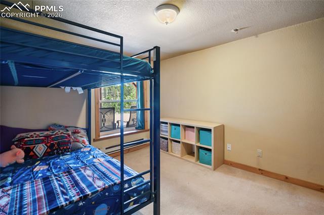 MLS Image for 79  Beaver Creek  ,Florissant, Colorado
