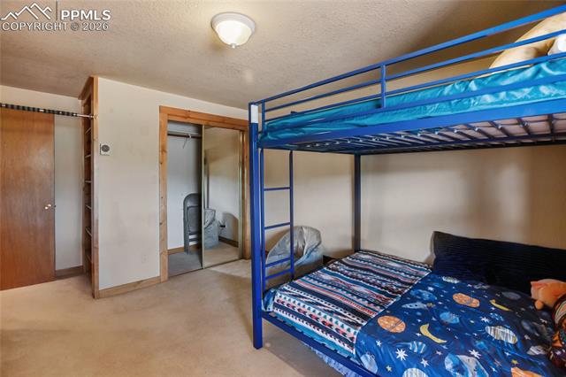 MLS Image for 79  Beaver Creek  ,Florissant, Colorado