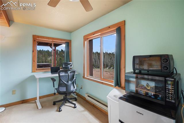 MLS Image for 79  Beaver Creek  ,Florissant, Colorado