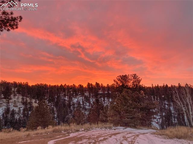 MLS Image for 79  Beaver Creek  ,Florissant, Colorado