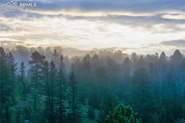 MLS Image for 79  Beaver Creek  ,Florissant, Colorado