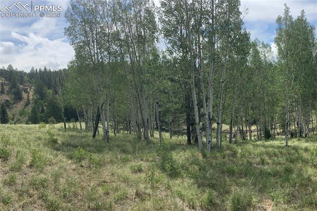 MLS Image for 79  Beaver Creek  ,Florissant, Colorado