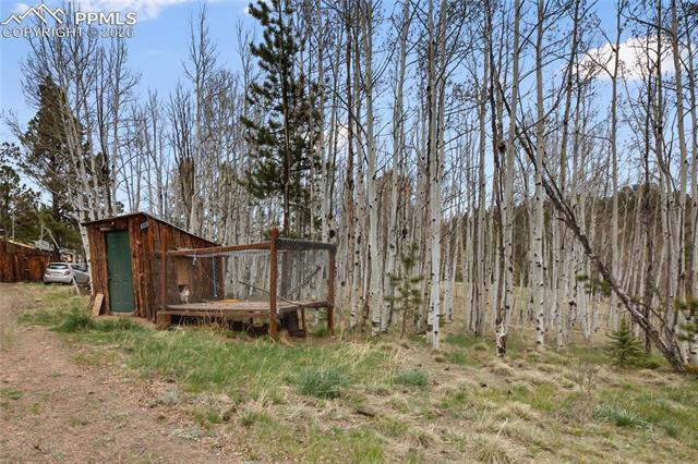 MLS Image for 79  Beaver Creek  ,Florissant, Colorado