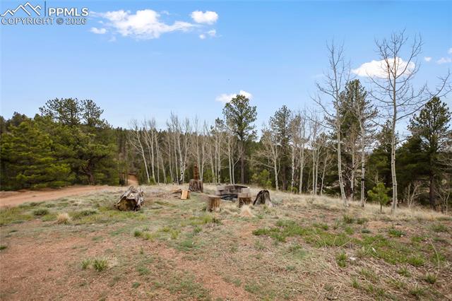 MLS Image for 79  Beaver Creek  ,Florissant, Colorado