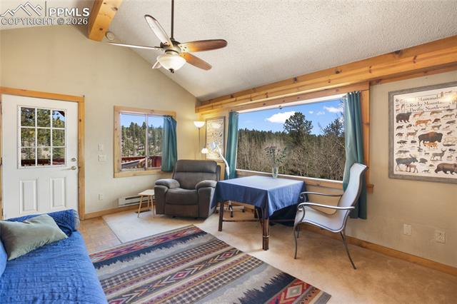 MLS Image for 79  Beaver Creek  ,Florissant, Colorado