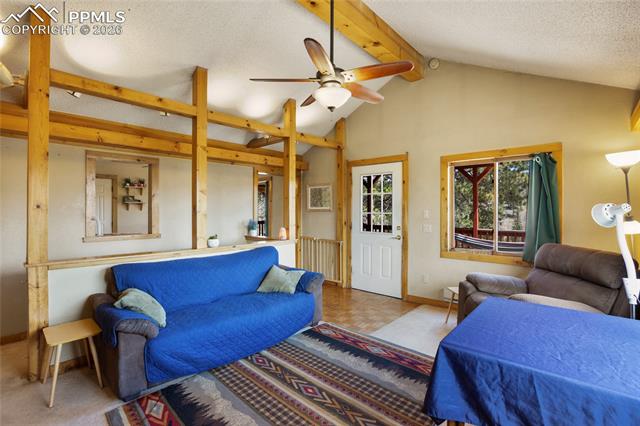 MLS Image for 79  Beaver Creek  ,Florissant, Colorado