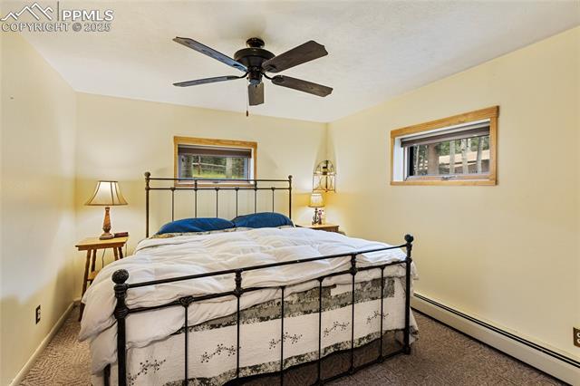 MLS Image for 56  Blue Jay  ,Divide, Colorado