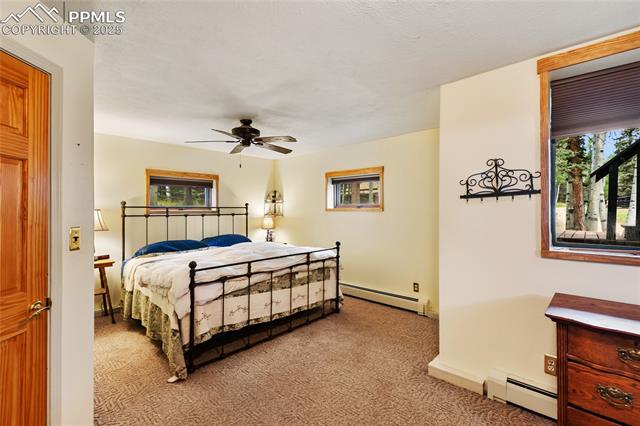 MLS Image for 56  Blue Jay  ,Divide, Colorado