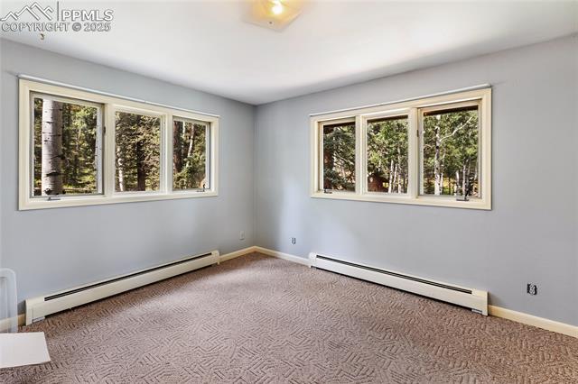 MLS Image for 56  Blue Jay  ,Divide, Colorado