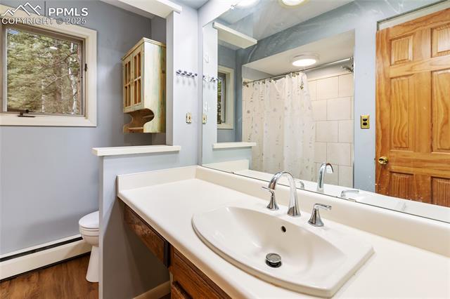 MLS Image for 56  Blue Jay  ,Divide, Colorado