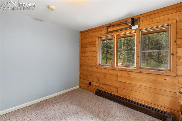 MLS Image for 56  Blue Jay  ,Divide, Colorado