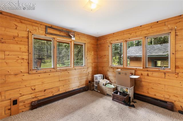 MLS Image for 56  Blue Jay  ,Divide, Colorado