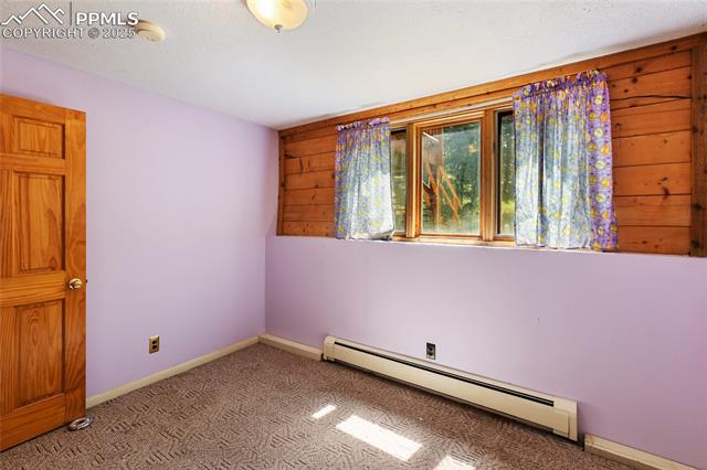 MLS Image for 56  Blue Jay  ,Divide, Colorado