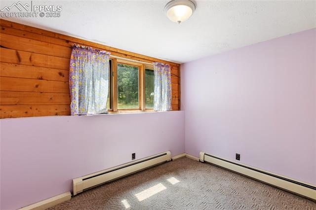 MLS Image for 56  Blue Jay  ,Divide, Colorado