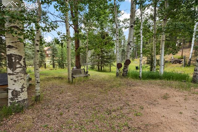 MLS Image for 56  Blue Jay  ,Divide, Colorado