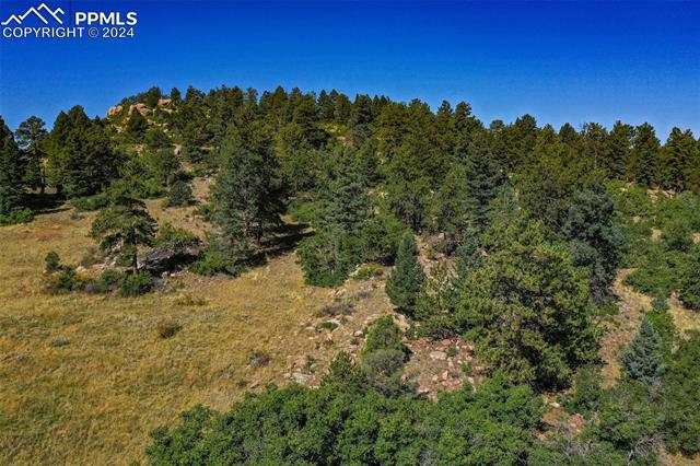 MLS Image for 913  Sioux  ,Florissant, Colorado