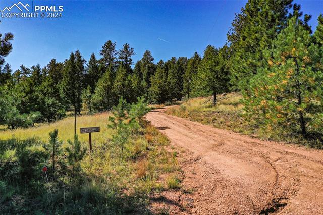 MLS Image for 913  Sioux  ,Florissant, Colorado