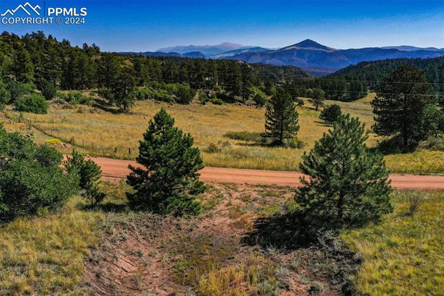 MLS Image for 913  Sioux  ,Florissant, Colorado