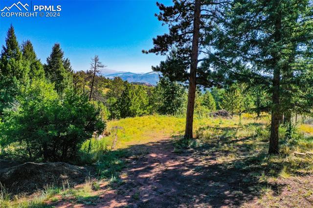 MLS Image for 913  Sioux  ,Florissant, Colorado