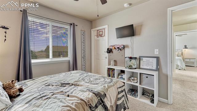 MLS Image for 8329  Freestar  ,Colorado Springs, Colorado