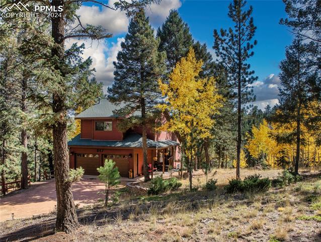 MLS Image for 847  Ridge  ,Divide, Colorado