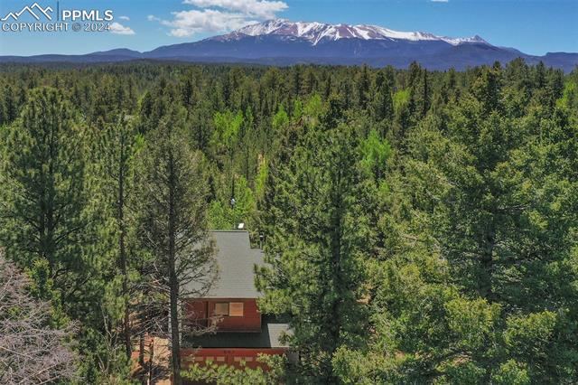 MLS Image for 847  Ridge  ,Divide, Colorado