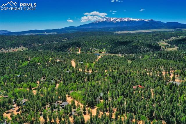 MLS Image for 847  Ridge  ,Divide, Colorado