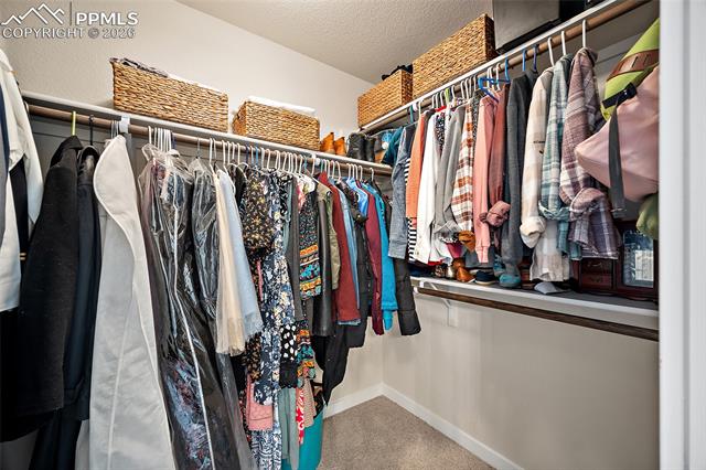 MLS Image for 8274  Harvey Logan  ,Colorado Springs, Colorado