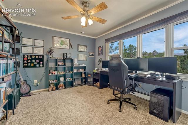 MLS Image for 6175  Garlock  ,Colorado Springs, Colorado