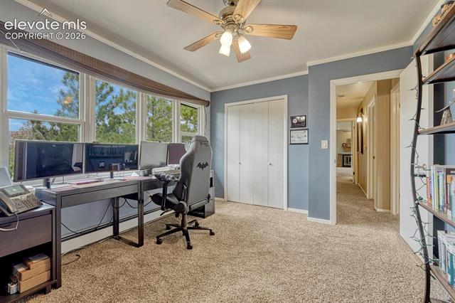 MLS Image for 6175  Garlock  ,Colorado Springs, Colorado