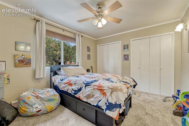 MLS Image for 6175  Garlock  ,Colorado Springs, Colorado