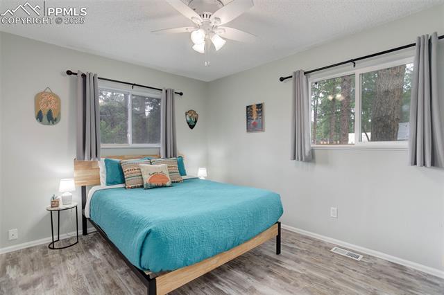 MLS Image for 601  Dallas  ,Woodland Park, Colorado