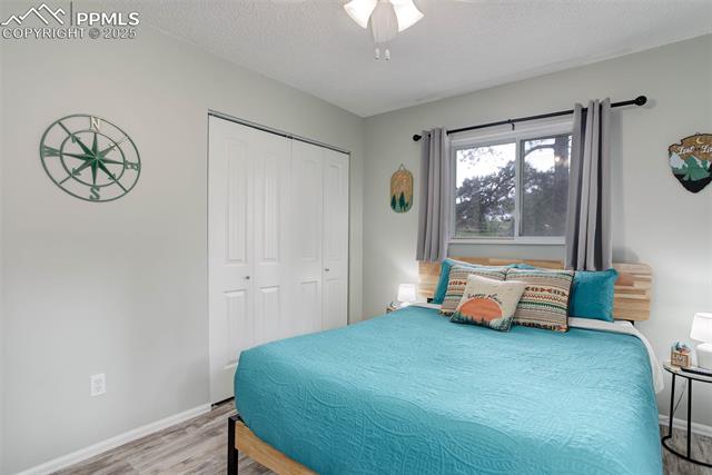 MLS Image for 601  Dallas  ,Woodland Park, Colorado