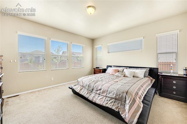 MLS Image for 12659  Mt Antero  ,Peyton, Colorado