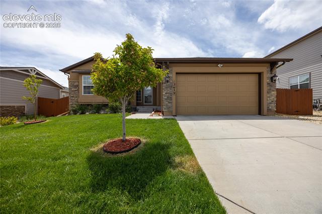 MLS Image for 12659  Mt Antero  ,Peyton, Colorado
